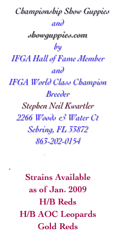      Championship Show Guppies and 
showguppies.com
by 
IFGA Hall of Fame Member
and 
IFGA World Class Champion Breeder 
Stephen Neil Kwartler
2266 Woods & Water Ct
Sebring, FL 33872
863-202-0154
email to 
guppyman@showguppies.com
Strains Available 
as of Jan. 2009
H/B Reds
H/B AOC Leopards
Gold Reds